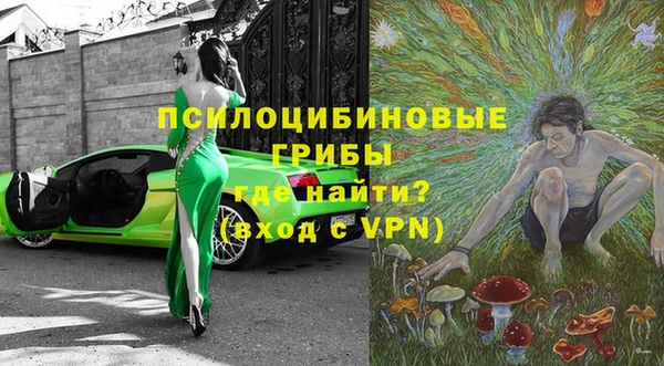 крисы Абдулино