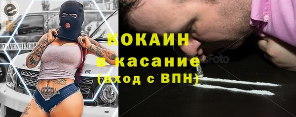 индика Алзамай