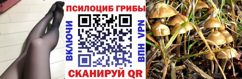 Псилоцибиновые грибы GOLDEN TEACHER  Усть-Кут 