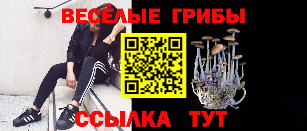 Галлюциногенные грибы MAGIC MUSHROOMS Усть-Кут