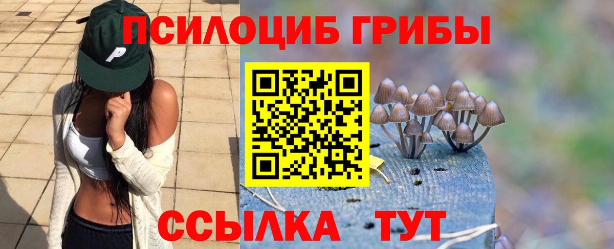 Усть-Кут  Псилоцибиновые грибы прущие грибы  Вход с VPN 