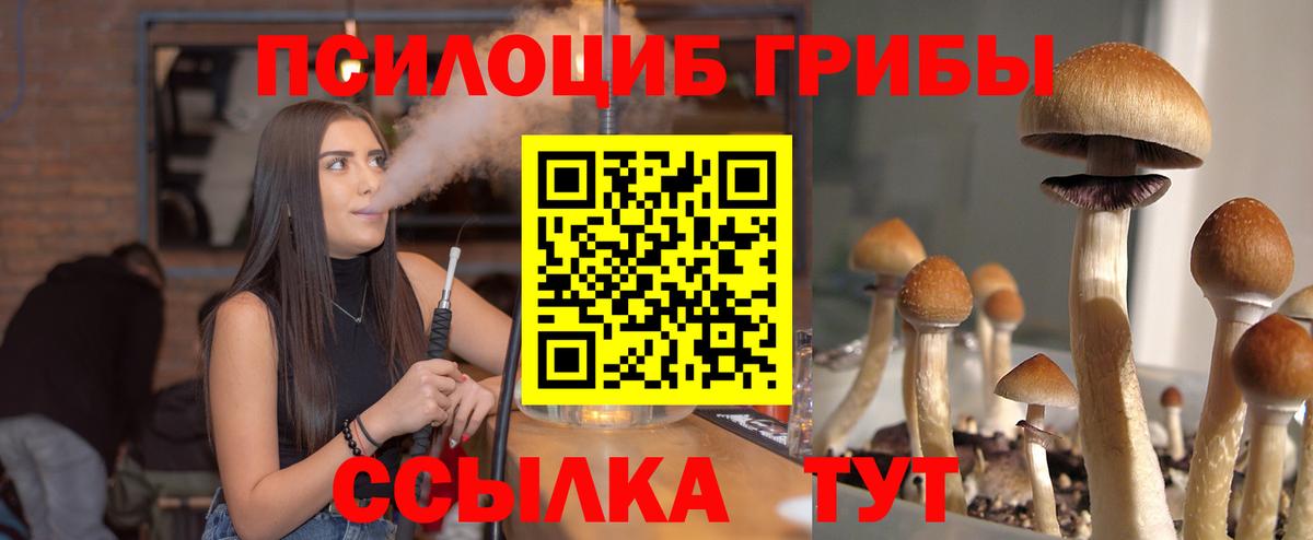 ГАШ  МЕФ  Вход с VPN  Каннабис  Усть-Кут  Меф МЯУ МЯУ кристаллы  NBOMe 